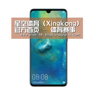 华为无线快充手机