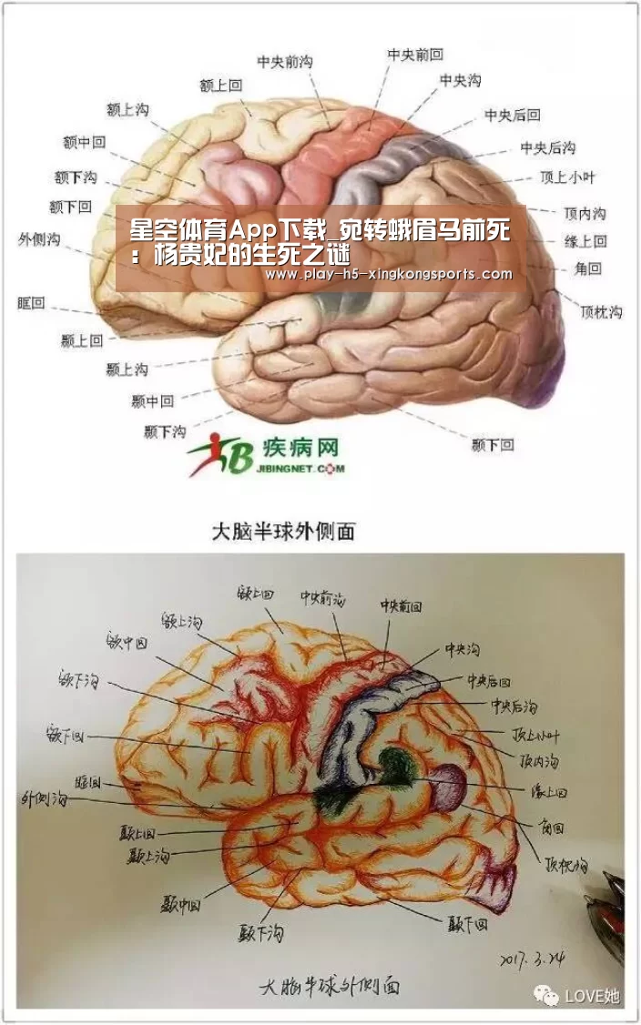 星空体育直播