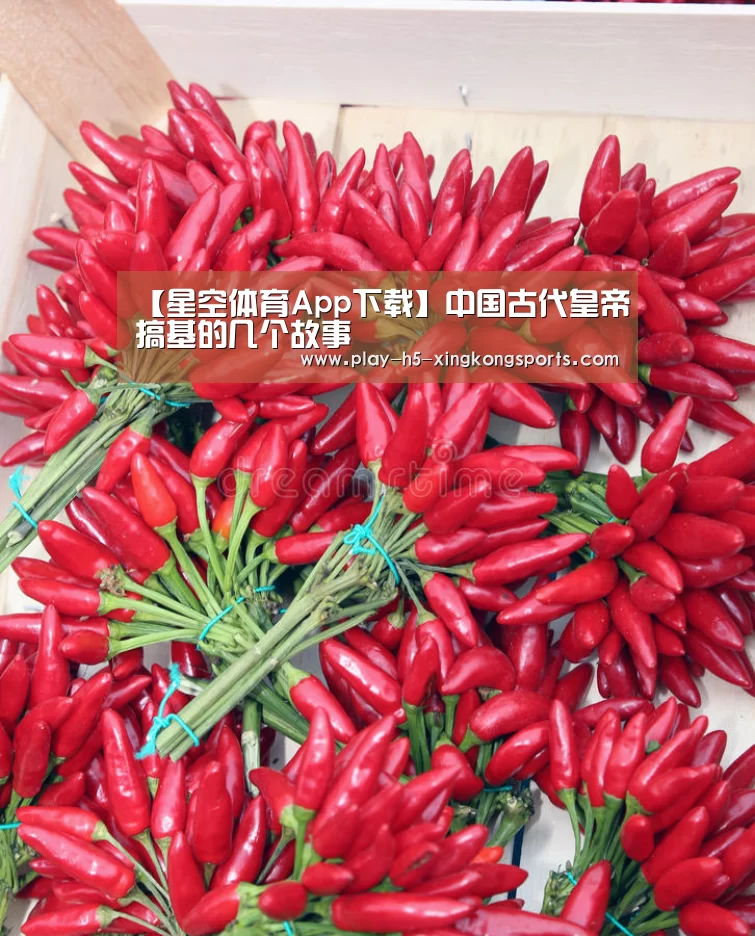 星空体育在线登陆