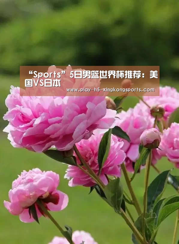 “Sports”5日男篮世界杯推荐：美国VS日本(图1)