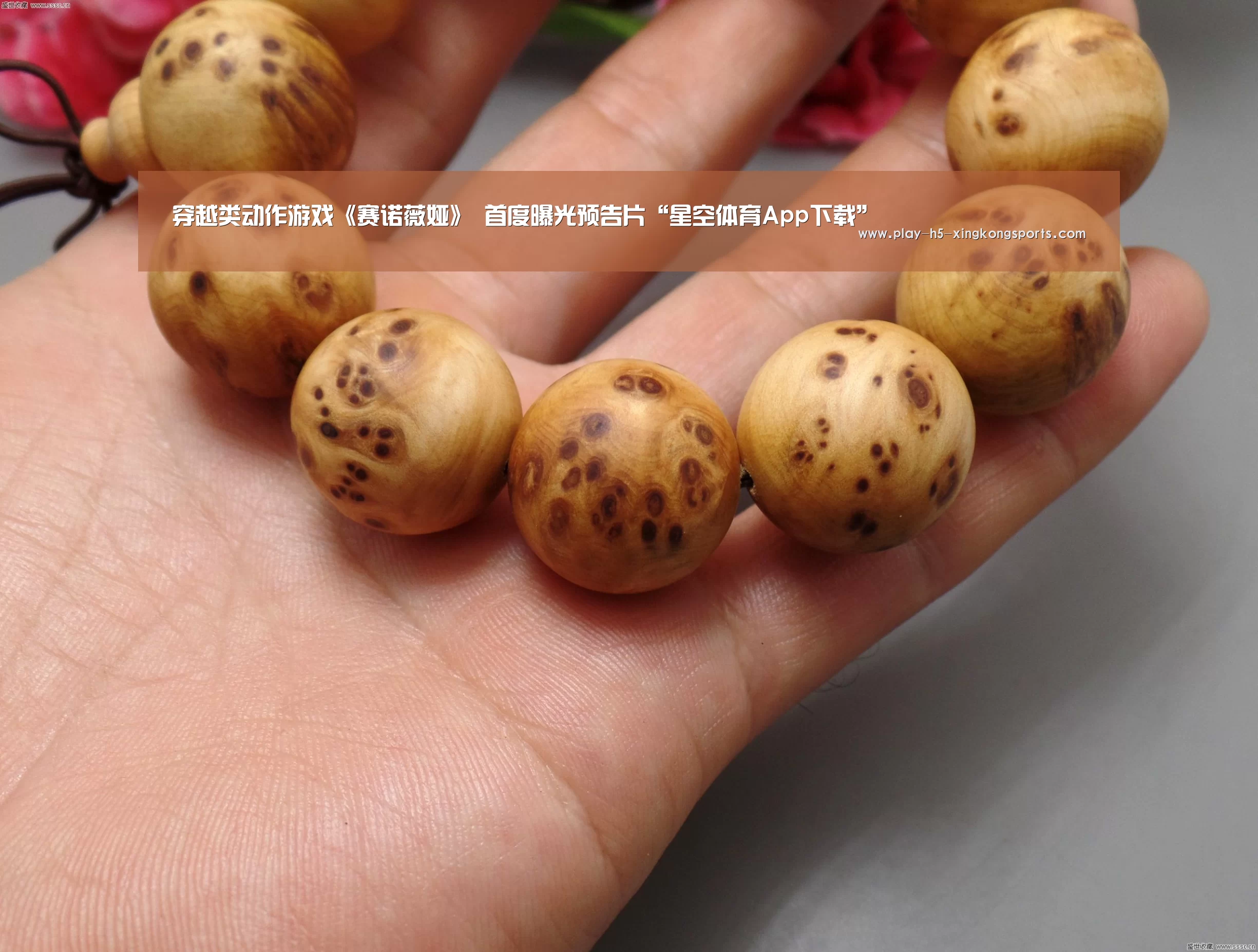 星空体育在线登陆