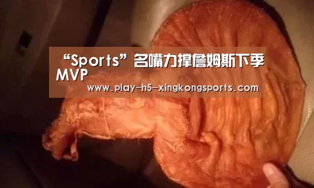 星空体育在线登陆