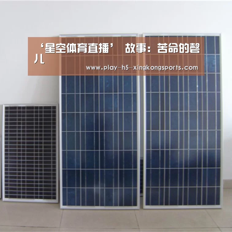 星空体育在线登陆