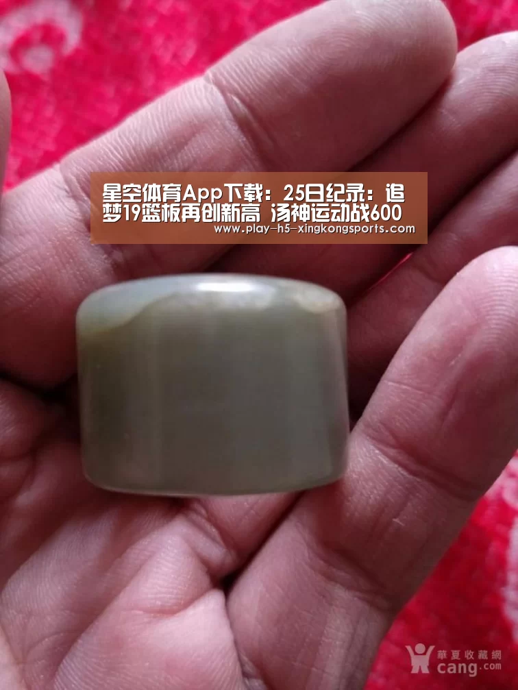 星空体育直播